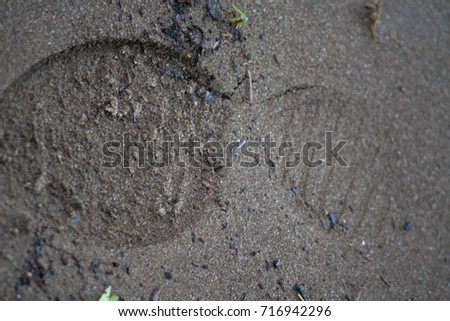 Single footprint in the sand.