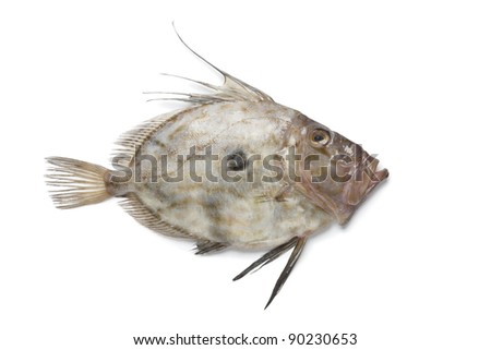 Similar – Image, Stock Photo Raw John Dory fish in metal tray