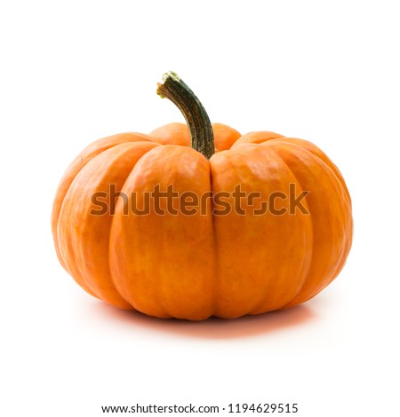 Single fresh orange miniature pumpkin isolated on white background