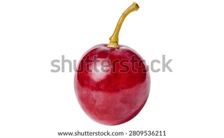 Single fresh red grape with glossy skin isolated on a clean white background for commercial fruit photography and packaging