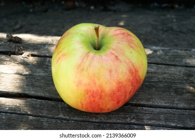 A single fresh red green apple on old wooden background in sunny day, close-up. Still life from ripe apple for publication, poster, calendar, post, wallpaper, postcard, banner, cover, website