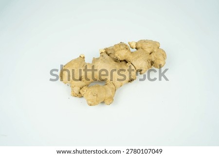 Single ginger root with new sprouts isolated on a white background