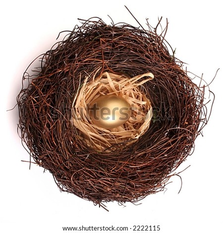 Single gold egg in nest isolated on white