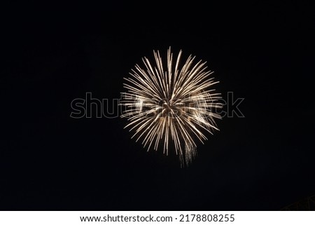 Single Gold Firework with Small Cascades