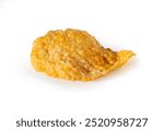 A single, golden-brown cereal flake with a textured surface, isolated on a white background.