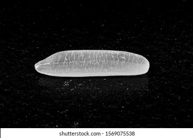 A Single Grain Of Rice