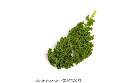 Single Green Leaf Of The Vegetable Kale On A White Background Seen From Above With Space For Copy