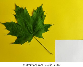 Single green maple leaf and blank white sheet of paper on yellow background. Copy space. Close-up.