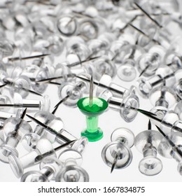 Single green plastic drawing pin upright in a sea of fallen clear drawing pins. Conceptual scene of fighting Irish, last man standing or possibly isolation or survivor meanings.  