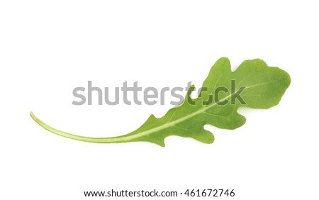 Single green rucola rocket salad leaf isolated over the white background [[stock_photo]] © 