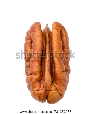Single half of pecan , isolated on white background, macro shot