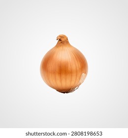Single hazelnut with intact brown shell on white background