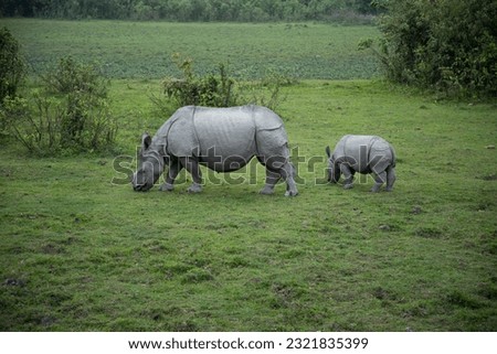 Single horned Rhino with baby Rhino at a wild life sanctuary