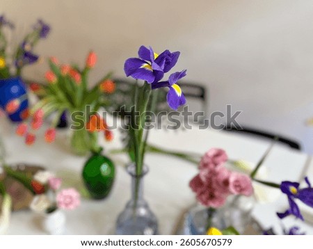 Single iris flower in focus with blurred floral background. Beauty, simplicity and artistic composition in interior design.