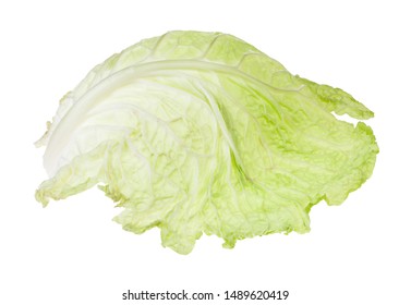 single leaf of savoy cabbage vegetable isolated on white background