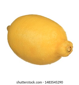 single lemon isolated on background