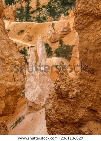 A single light pinkish Hoodoo between the other more Orange Hoodoos on the Queens Garden Trail in Bryce Canyon National Park, Utah.