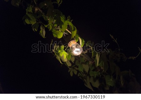 a single lightbulb illuminating some hops