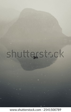 Similar – romantic ducks Lake Clouds