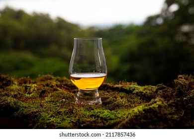 Single Malt Scotch Whisky In Glen Cairn Glass On Rainforest Moss In Selective Focus . 