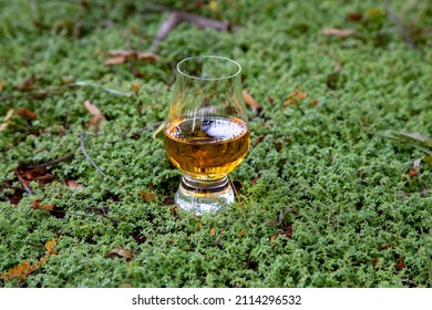 Single Malt Scotch Whisky Isolated In Glen Cairn Glass With Peaty, Maritime Notes On Forest Moss In Selective Focus