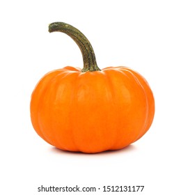 Single Mini Pumpkin With Long Stem Isolated On A White Background