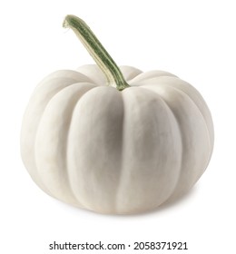 Single Mini White Pumpkin For Halloween Isolated On White.