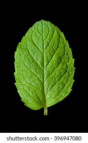 Single Mint Leaf Isolated On Black Background