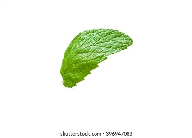 Single Mint Leaf Isolated On White Background