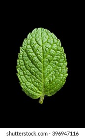 Single Mint Leaf Isolated On Black Background