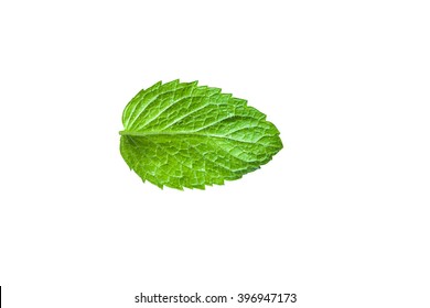 Single Mint Leaf Isolated On White Background