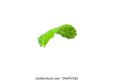 Single Mint Leaf Isolated On White Background