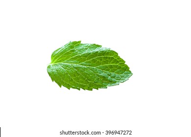 Single Mint Leaf Isolated On White Background