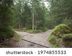 A single mountain path splits in two different directions.