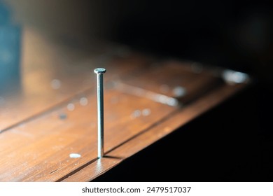 A single nail standing upright on a wooden surface with a blurred background. - Powered by Shutterstock