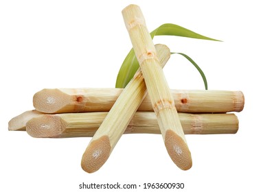 Single object of Sugar cane isolated on white background