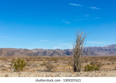 Slim Patch Images Stock Photos Vectors Shutterstock