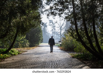 Single Old Man Walking On The Alley In The Park Early Morning