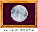 Single old United States silver morgan dollar coin in felt jewelry box for collection  