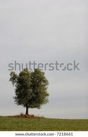 Similar – Image, Stock Photo Environmental protection?