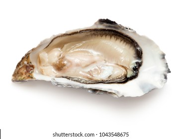 56,789 Oysters isolated Images, Stock Photos & Vectors | Shutterstock