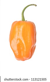 Einzige Orange Habanero-Pfeffer einzeln auf weißem Hintergrund