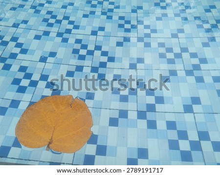 Single orange leaf floating in clear blue pool water over mosaic tiles. Nature contrast, autumn concept, minimalism, texture, reflection, aquatic background.