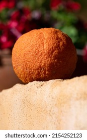 Single orange ripening on wall in sunshine on Crete
