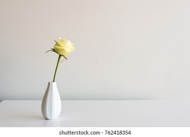 Pale Yellow Rose Images Stock Photos Vectors Shutterstock