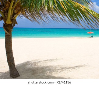 Single Palm Tree On A Beach