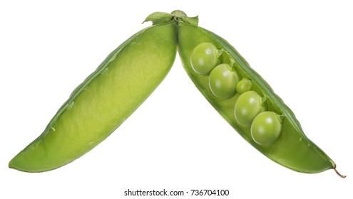 Single Pea Pod Isolated On White Background