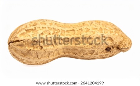 A single peanut in its shell, shown in closeup detail. The image highlights the texture and color of the peanuts shell against a plain white background.