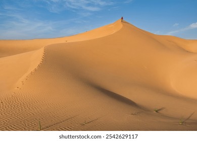 A single person stands atop a golden sand dune in Le Khwair, Oman, surrounded by smooth, rippling sand patterns, under a bright blue sky with scattered clouds. - Powered by Shutterstock