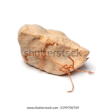 Single piece of Baobab fruit pulp close up isolated on white background 